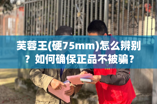 芙蓉王(硬75mm)怎么辨别？如何确保正品不被骗？